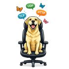 InterceptSuite  icon