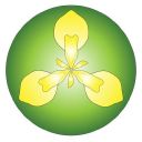 IrisBG icon