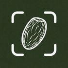 Kilo Calorie icon