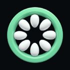 Kiwi icon