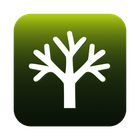 Kloni icon