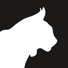 Krater.ai icon