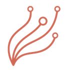 LeadAce icon