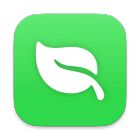 Leaf icon