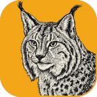 Lightcraft icon