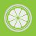 Lime Files icon