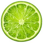 Lime Website Builder icon
