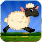 Lucky the Sheep icon