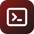 lvdTerm icon