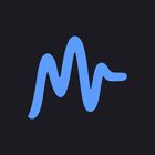 magic.METER icon