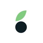 Mailberry icon