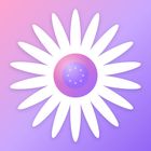 Marguerite icon