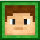 McSkins icon