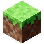 Minecraft icon