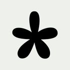 minute cryptic • wordplay icon