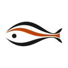 MiroFish.co.uk icon