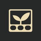 Momentum Montage icon