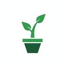 moneyplant icon