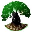 Monumental Trees icon