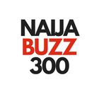 naijabuzz300 icon