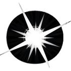 NetObjects Fusion icon