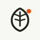 nTilia icon