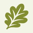 Oaklet Notes icon