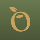 Olivka icon