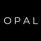 Opal Spend icon