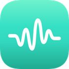Open Audio Analyzer icon