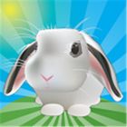 Outfoxed! icon