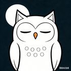 Owl Meeting icon