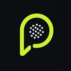 PadelBracket icon