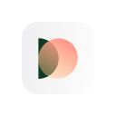 PainApp icon