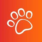 PetCheck icon