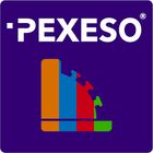 Pexeso icon