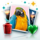PhotoMuse icon