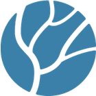 Phylogeny App icon