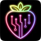 PicoBerry icon