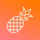 Pineapple Builder icon