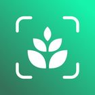 Plant identifier - Find Insect icon