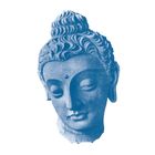 PocketDhamma icon