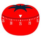 Pomodozer Plus icon