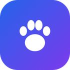 Pouncify icon