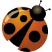 QVD Virtual Desktop icon