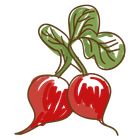 radish icon
