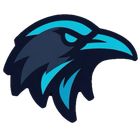 RavenEye icon