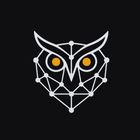 Repowise icon