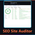 SEO Site Auditor icon