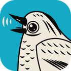 Soundcraft icon